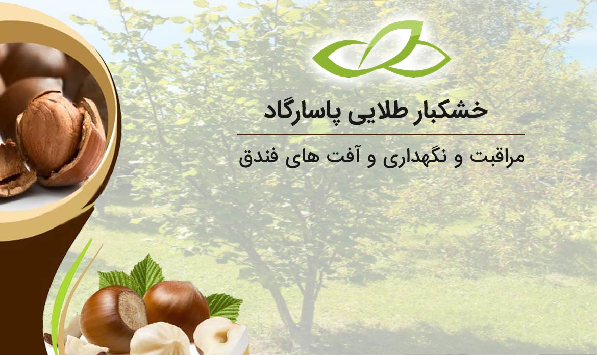 مراقبت و نگهداری و آفت های فندق