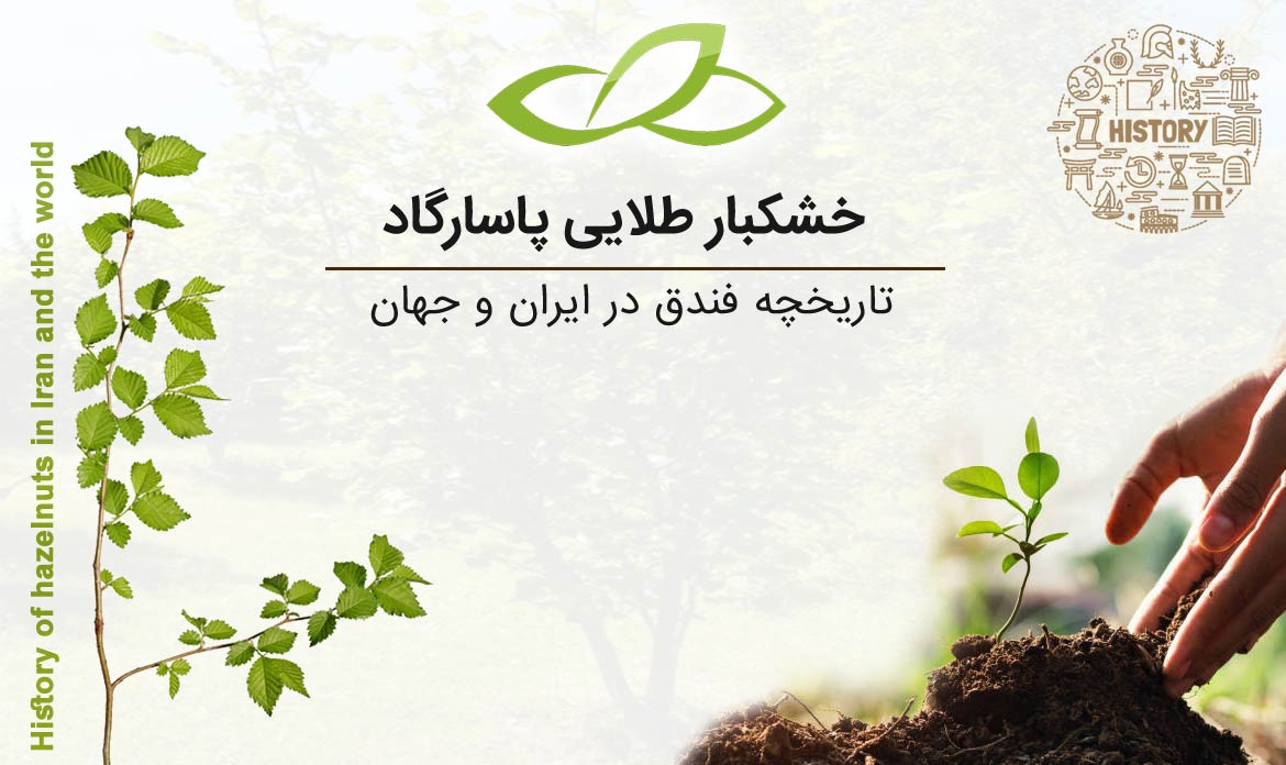 تاریخچه فندق در ایران و جهان