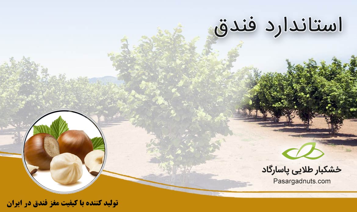 استاندارد فندق