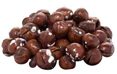 فندق شور